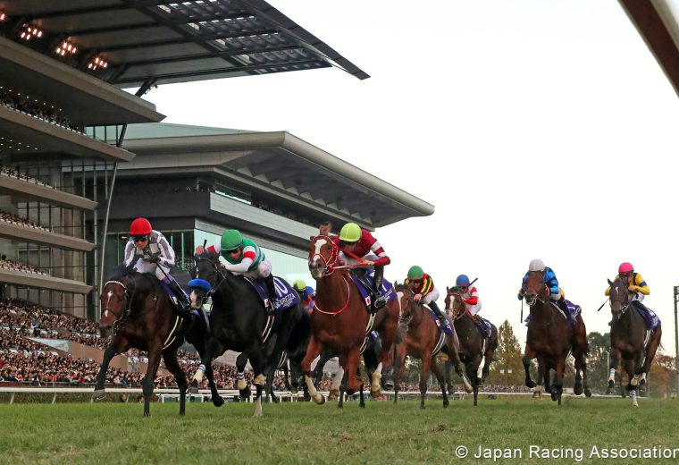 Do Deuce (outside) - Japan Cup G1 - photo credit Japan Racing Association