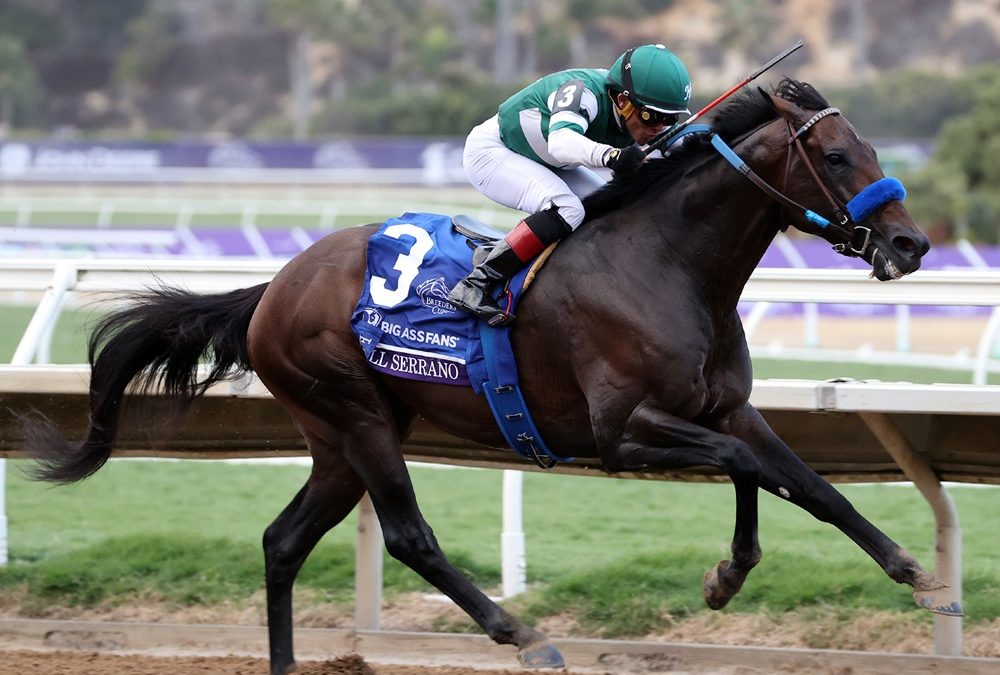 Full Serrano - Breeders' Cup Dirt Mile G1 - Susie Raisher