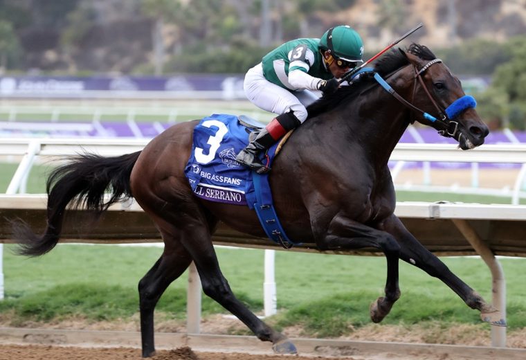 Full Serrano - Breeders' Cup Dirt Mile G1 - Susie Raisher