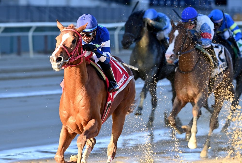 Golden Rocket - NYSS Stakes Staten Island Division - Joe Labozzetta/Coglianese Photo