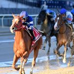 Golden Rocket - NYSS Stakes Staten Island Division - Joe Labozzetta/Coglianese Photo