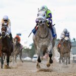 Grayscale debutó con una Cifra Beyer de 86 en Gulfstream Park - Foto Coglianese Photo