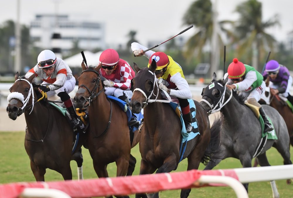 Gulfstream Park Action - Ryan Thompson/Coglianese Photo