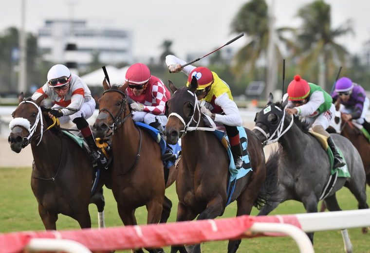 Gulfstream Park Action - Ryan Thompson/Coglianese Photo