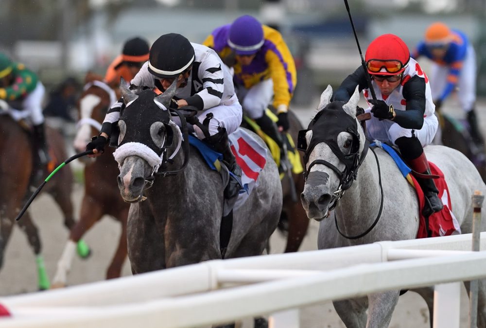 Gulfstream Park Scenic - Ryan Thompson/Coglianese Photos