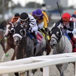 Gulfstream Park Scenic - Ryan Thompson/Coglianese Photos