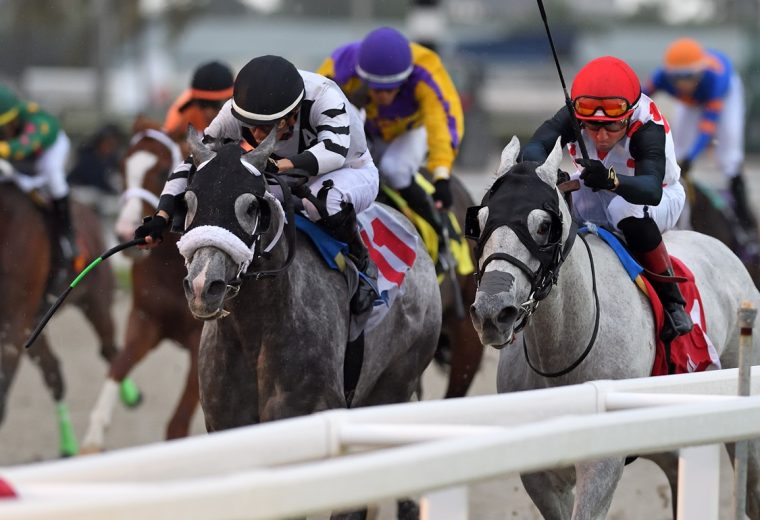 Gulfstream Park Scenic - Ryan Thompson/Coglianese Photos