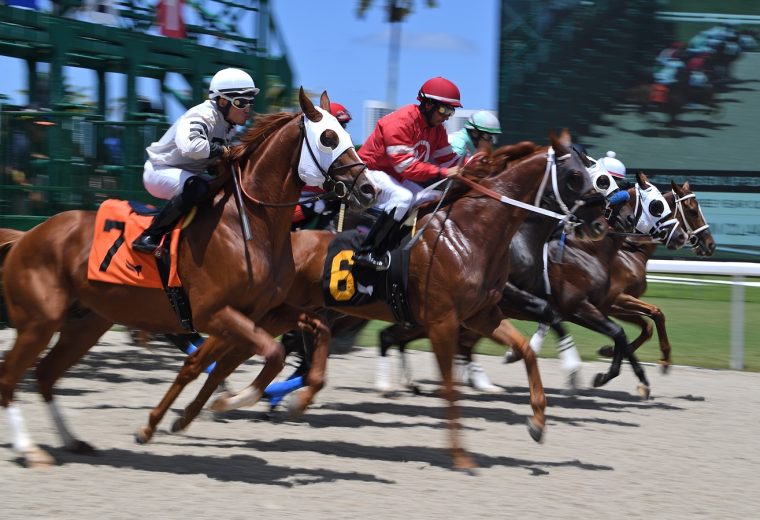 Gulfstream Park Tapeta Scenic - Ryan Thompson/Coglianese Photos