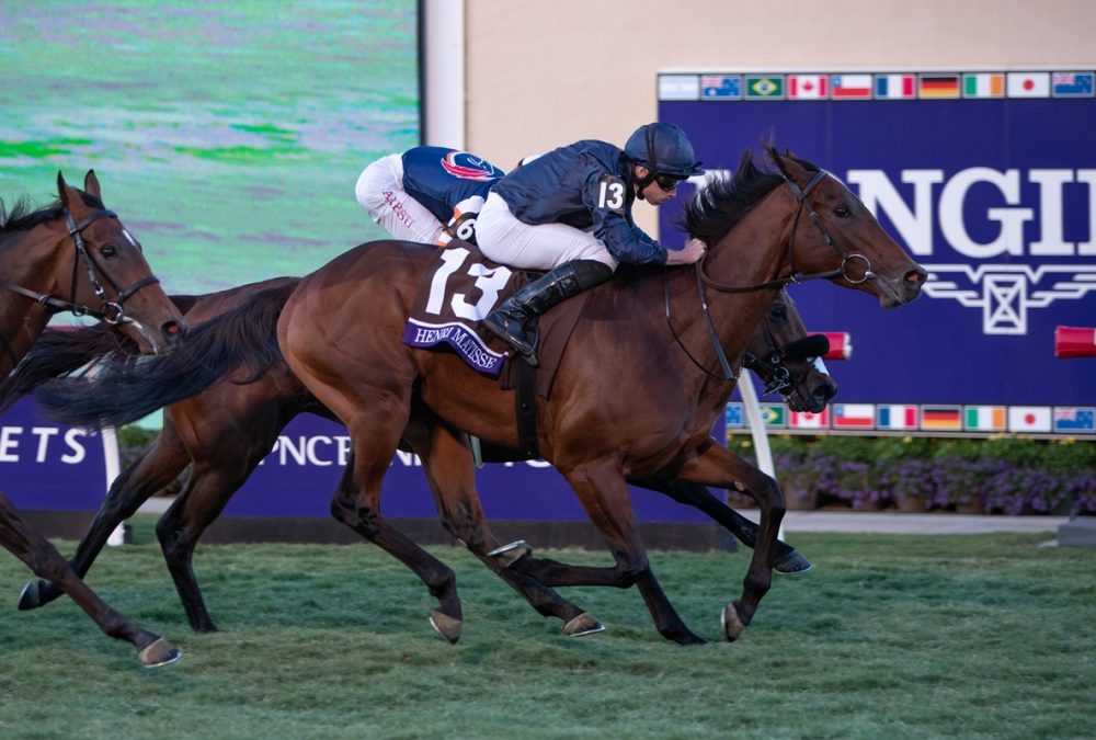 Henri Matisse - Breeders Cup Juvenile Turf - Julie Wright