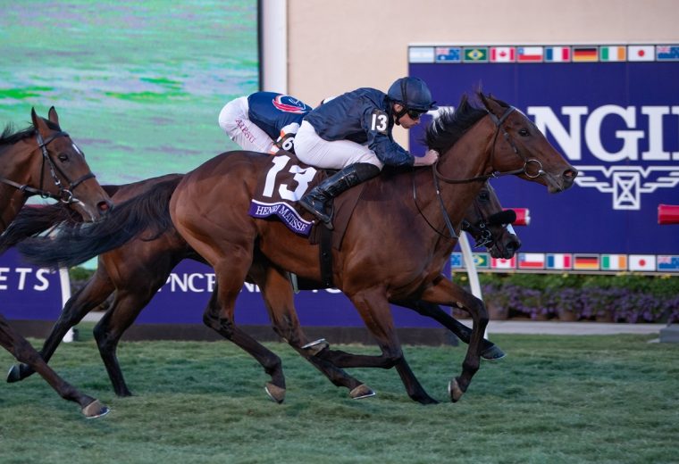 Henri Matisse - Breeders Cup Juvenile Turf - Julie Wright