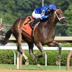 Immersive - Coglianese Photos