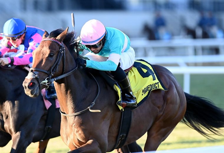 Jack and Jim - Central Park Stakes - Coglianese Photo