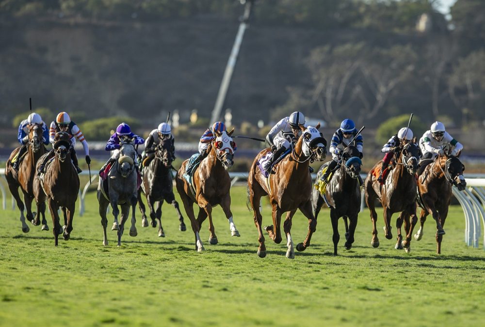 King of Gosford - Stretch Scenic - Benoit Photo