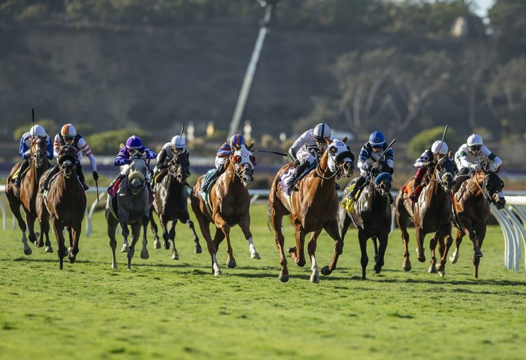 King of Gosford - Stretch Scenic - Benoit Photo