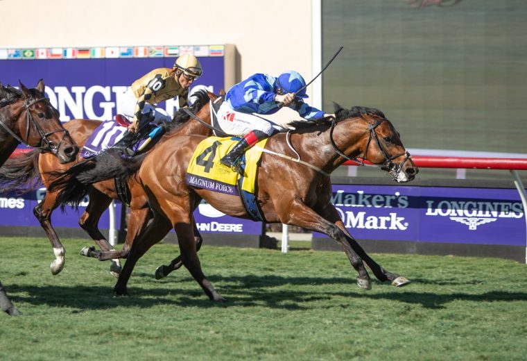 Magnum Force - Breeders Cup Juvenile Turf Sprint G1T - Julie Wright