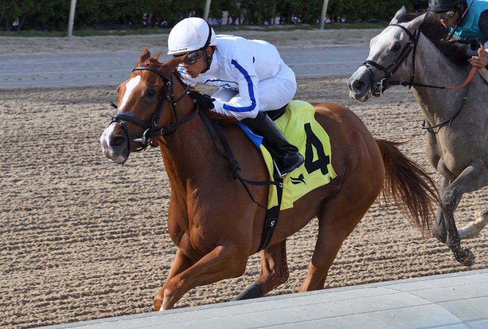 Mrs Worldwide - Juvenile Fillies Sprint Stakes - Ryan Thompson/Coglianese Photo