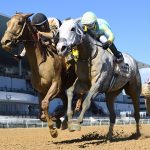 Raging Sea - Aqueduct - Coglianese Photo