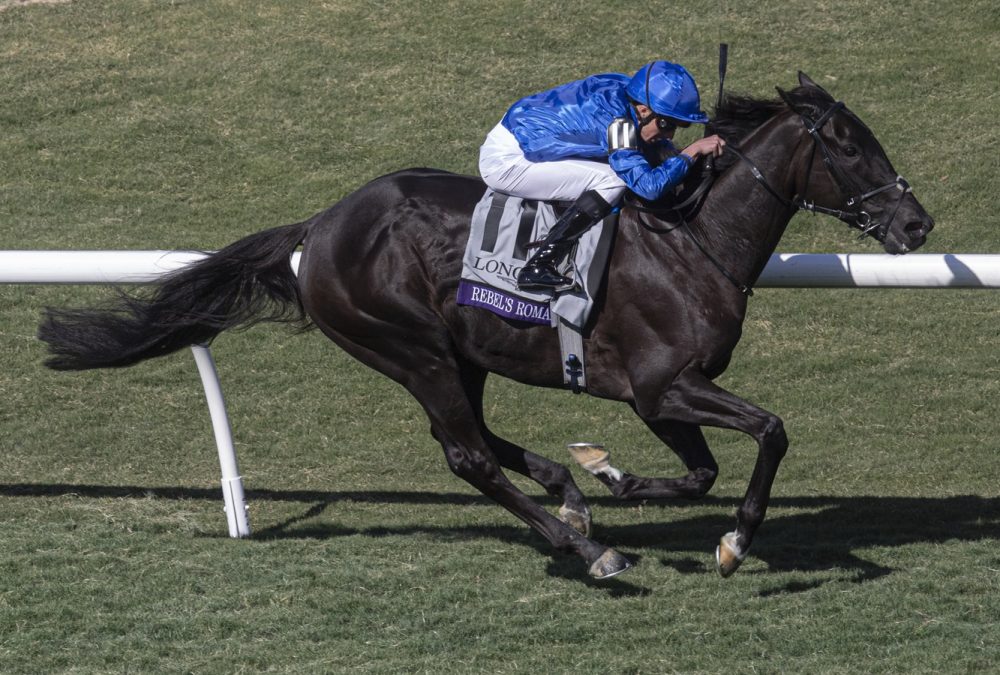 Rebel's Romance - Breeders' Cup Turf - Justin N. Lane