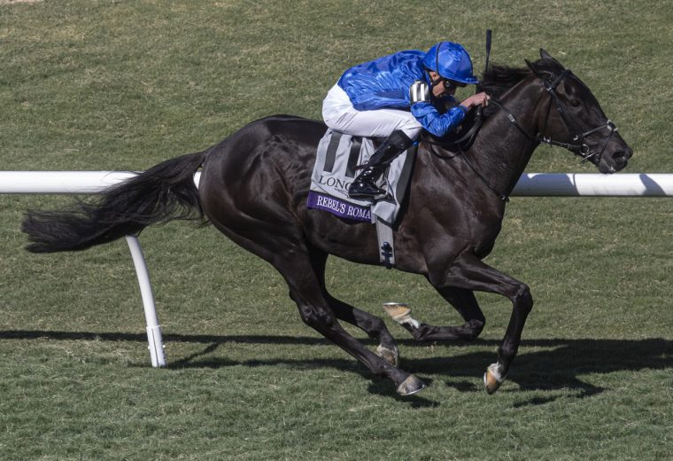 Rebel's Romance - Breeders' Cup Turf - Justin N. Lane