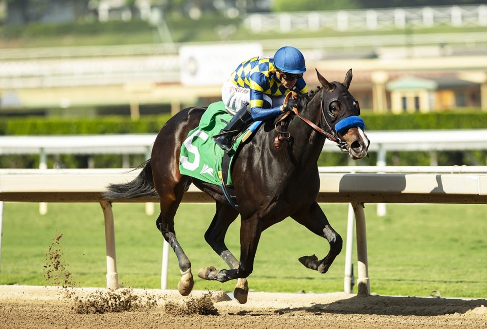 Silent Law - Anoakia Stakes - Benoit Photo