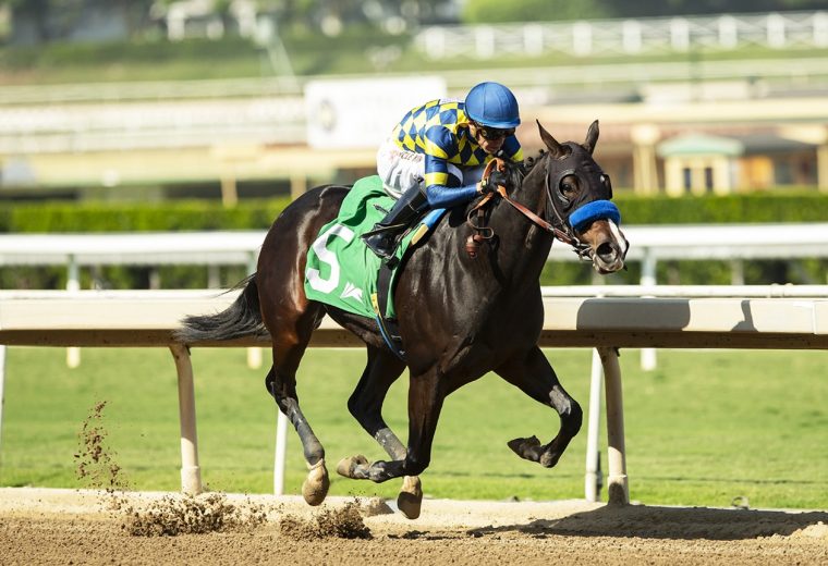 Silent Law - Anoakia Stakes - Benoit Photo