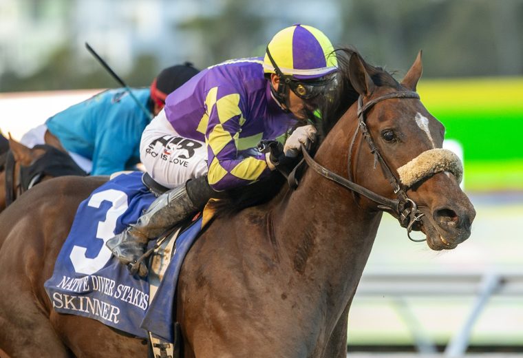 Skinner - Native Diver Stakes G3 - Benoit Photo