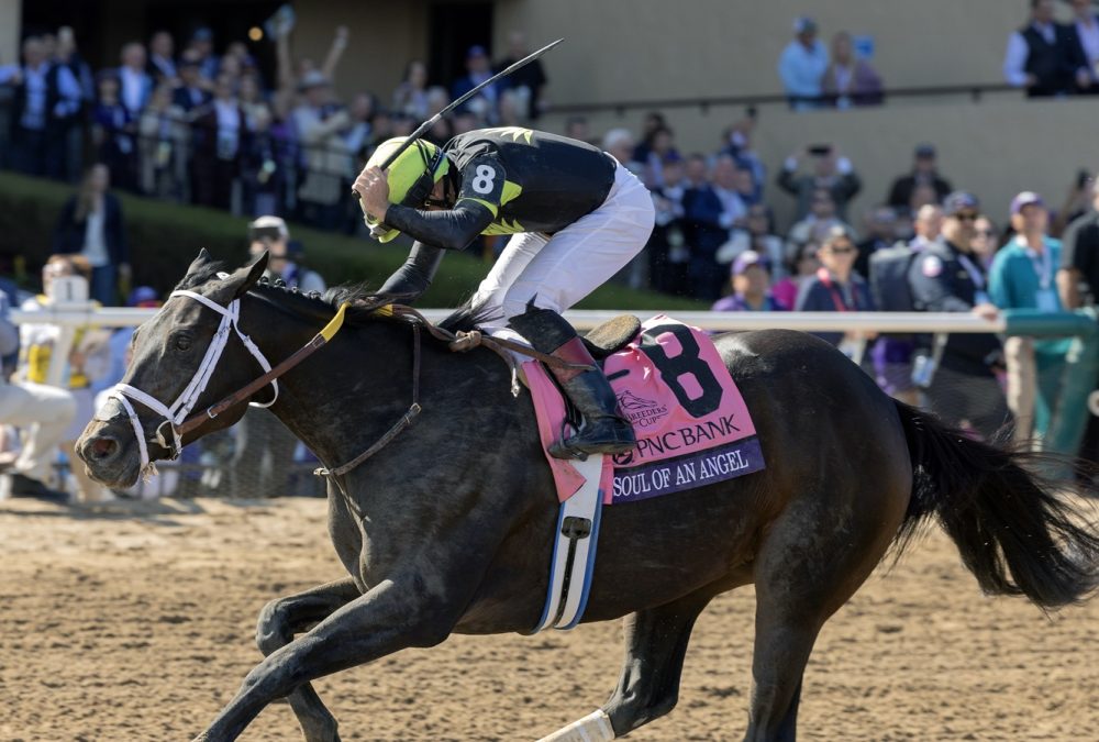 Soul of an Angel - Breeders Cup Filly and Mare Sprint - Debra A. Roma