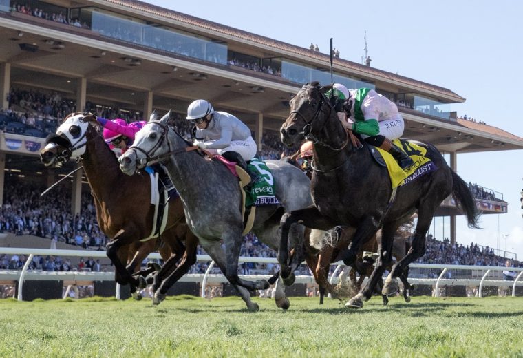 Starlust - Breeders Cup Turf Sprint - Debra A. Roma