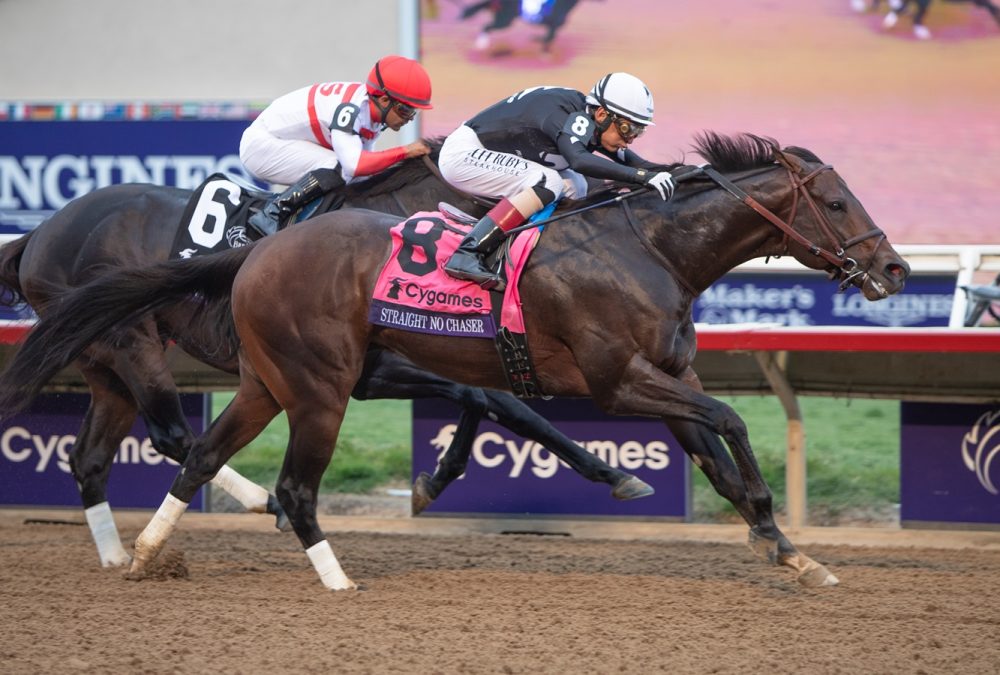 Straight No Chaser - Breeders Cup Sprint - Julie Wright