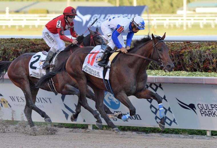 The Brother Slew - Clasico del Caribe 2019 - Coglianese Photo