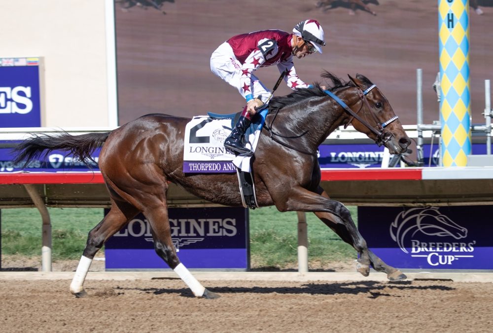 Thorpedo Anna - Breeders' Cup Distaff G1 - Julie Wright