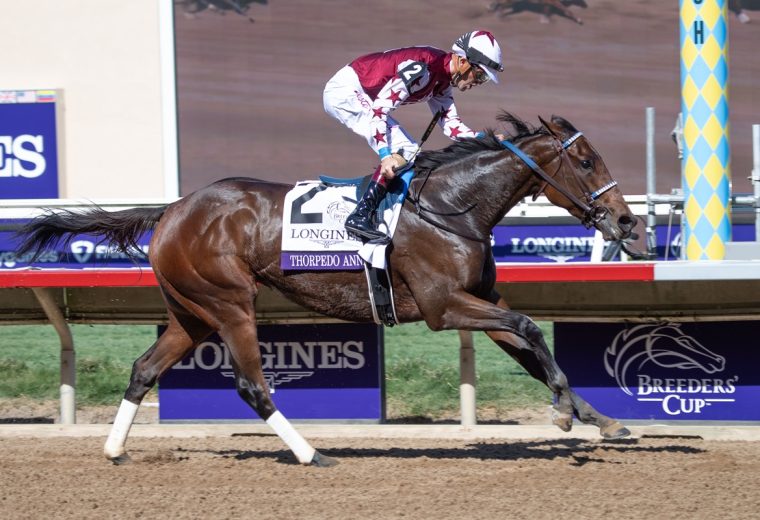 Thorpedo Anna - Breeders' Cup Distaff G1 - Julie Wright