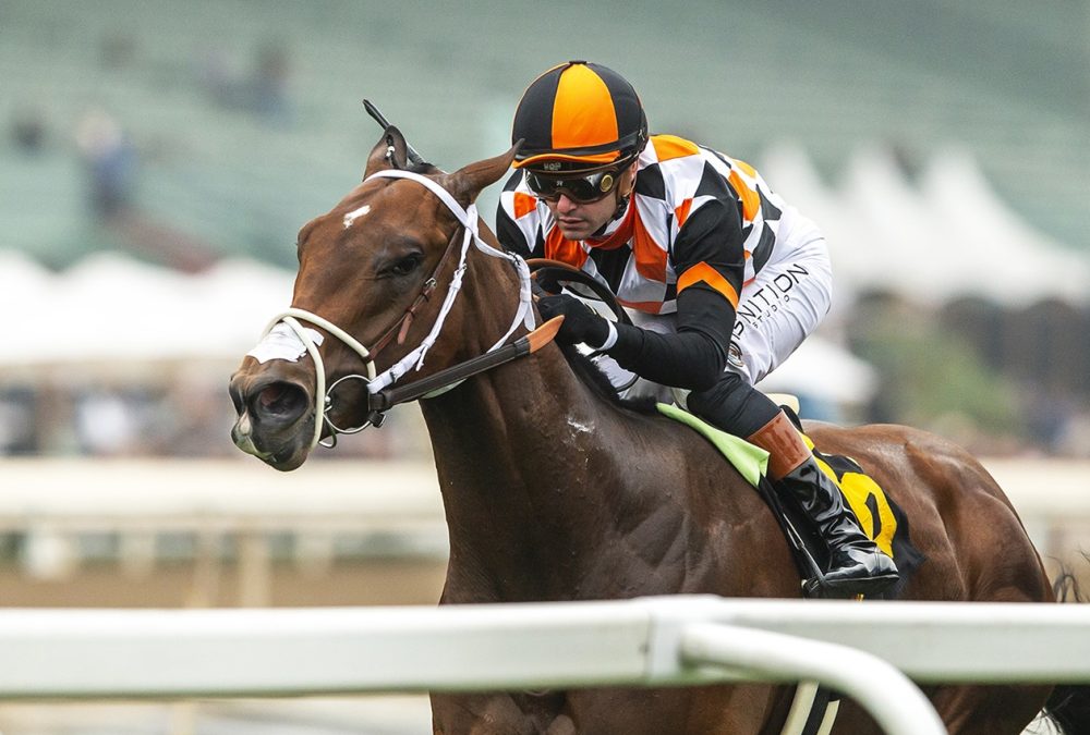 Artislas - Eddie Logan Stakes - Benoit Photo EPR