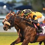 Cugino - Tropical Park Derby - Ryan Thompson/Coglianese Photo