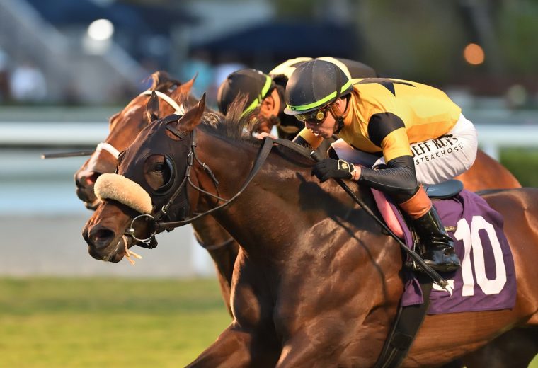 Cugino - Tropical Park Derby - Ryan Thompson/Coglianese Photo