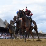 Dornoch - Belmont Stakes G1 - Coglianese Photo