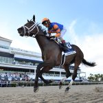 Fierceness - Florida Derby G1 - Coglianese Photo