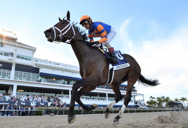 Fierceness - Florida Derby G1 - Coglianese Photo