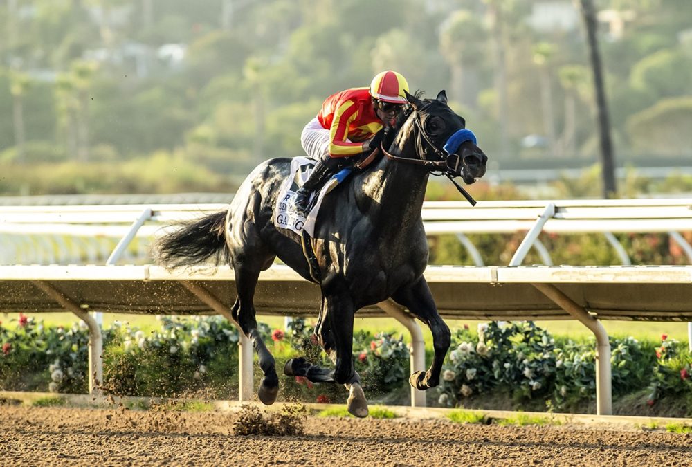 Gaming - Del Mar Futurity G1 - Benoit Photo