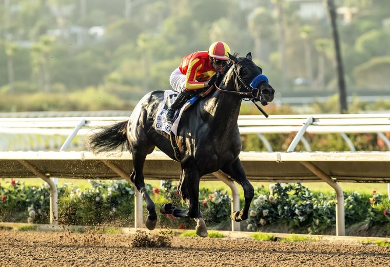 Gaming - Del Mar Futurity G1 - Benoit Photo