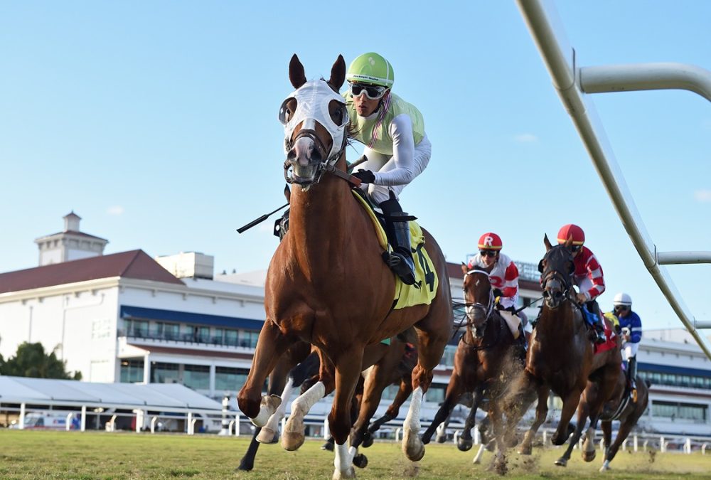 Gulfstream cluhouse turn turf - Ryan Thompson/Coglianese Photo