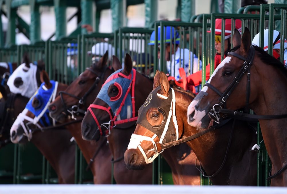 Gulfstream scenic - Ryan Thompson/Coglianese Photo