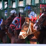 Gulfstream scenic - Ryan Thompson/Coglianese Photo