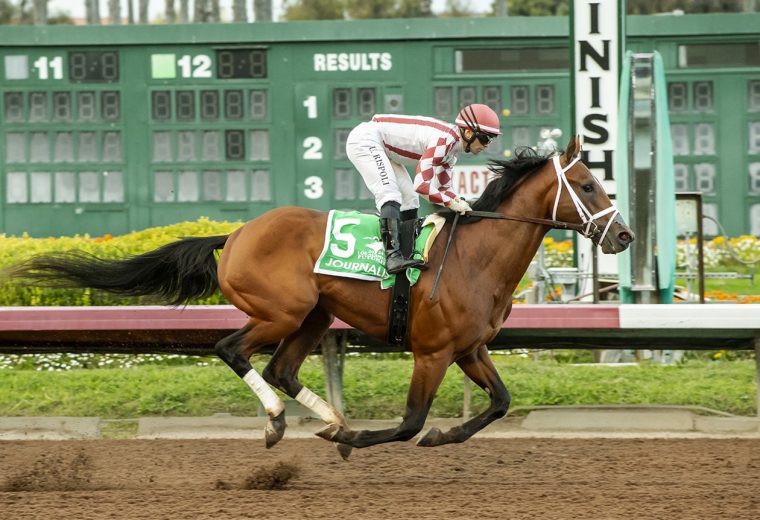 Journalism - Los Alamitos Futurity G2 - Benoit Photo