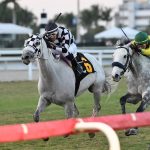 Lord Eddard Stark - H. Allen Jerkens Handicap - Ryan Thompson/Coglianese Photo