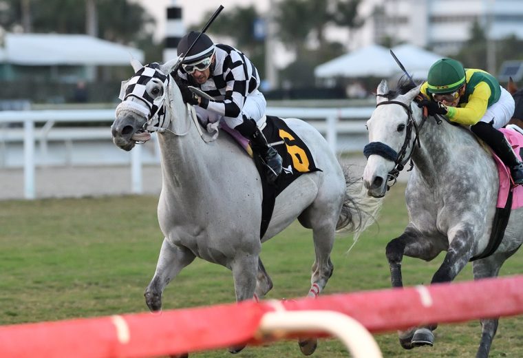 Lord Eddard Stark - H. Allen Jerkens Handicap - Ryan Thompson/Coglianese Photo