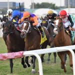 Major Dude - Ft. Lauderdale Stakes G2T - Ryan Thompson/Coglianese Photo