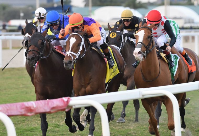 Major Dude - Ft. Lauderdale Stakes G2T - Ryan Thompson/Coglianese Photo