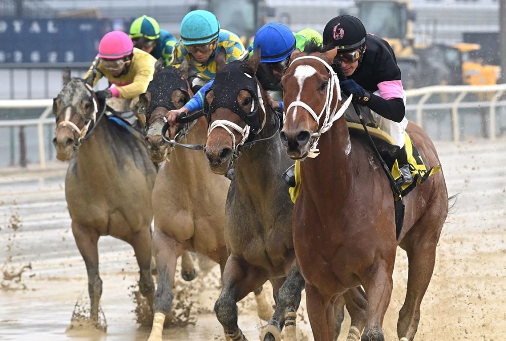 Maximus Meridius - Gravesend Stakes - Chelsea Durand Coglianese Photo