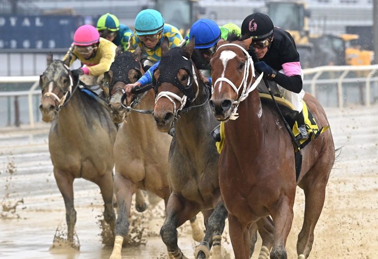 Maximus Meridius - Gravesend Stakes - Chelsea Durand Coglianese Photo